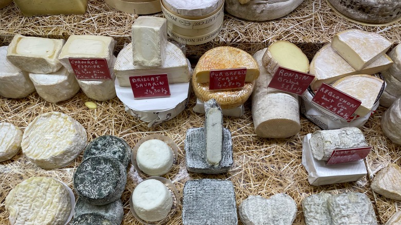 assorted artisanal cheese