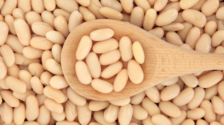 white beans with wooden spoon