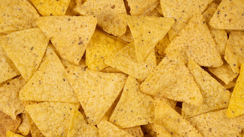 closeup of tortilla chips