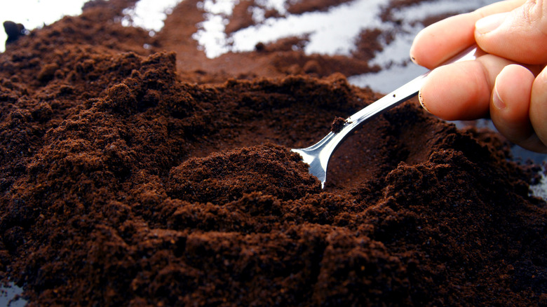 spoon and cocoa powder