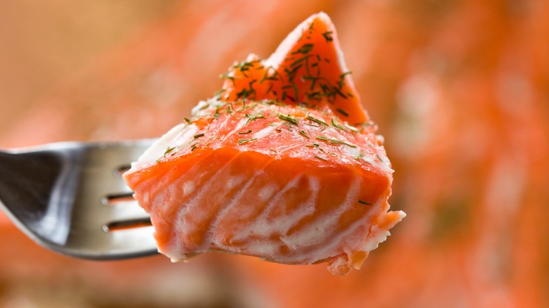 Close-up of a forkful of cooked salmon sprinkled with herbs