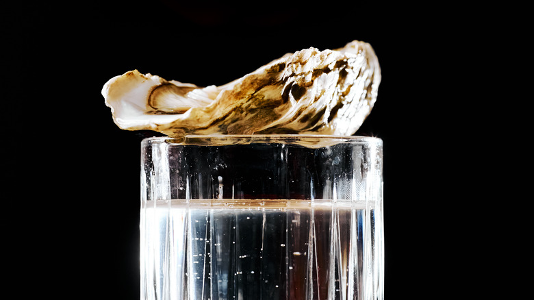 Oyster cocktail