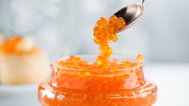 Scooping red roe out of jar with spoon