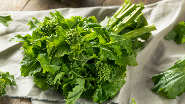 Bundle of broccoli rabe