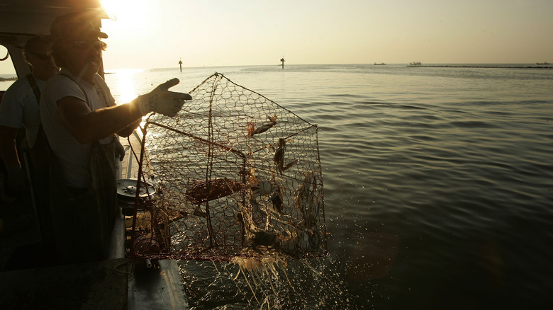 Crabber holding a crab pot