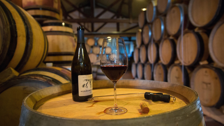 pinot noir wine in cellar