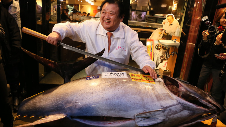 A large Tuna being Cut