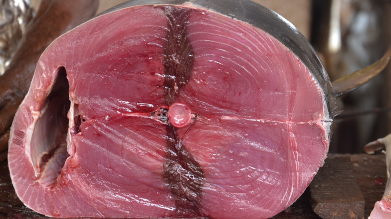 Cross Section of Tuna Bloodline 