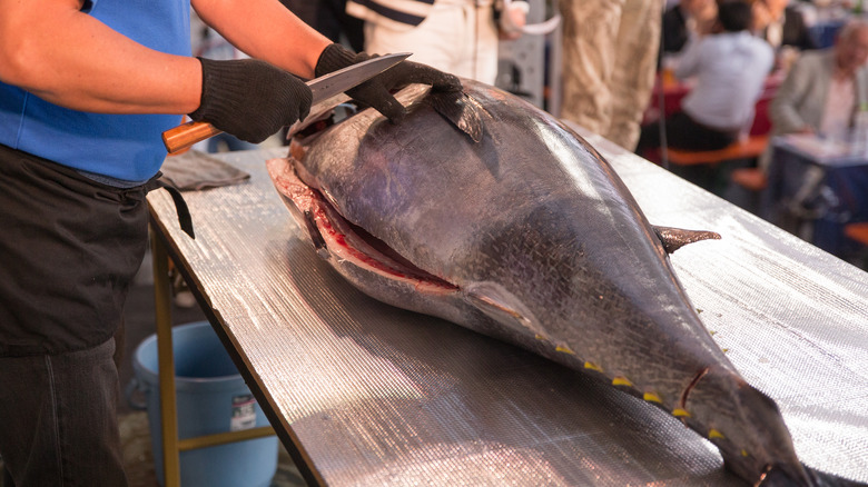 Butcher Cutting a Tuna