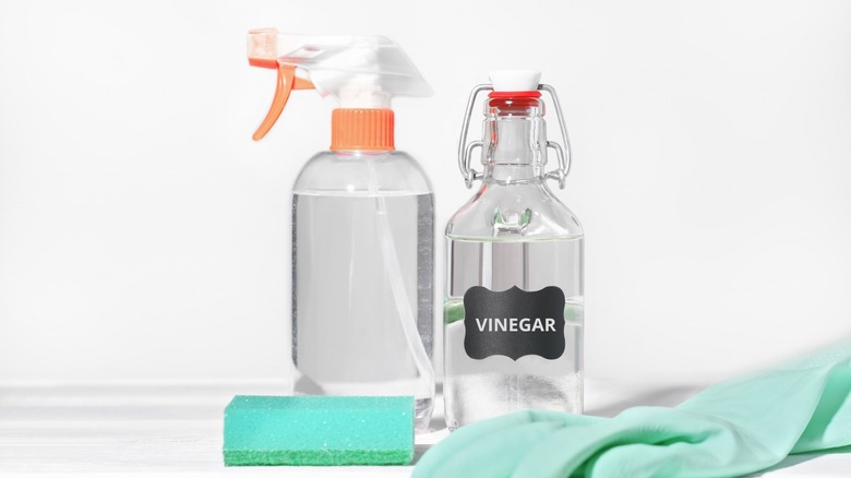 white vinegar in bottles