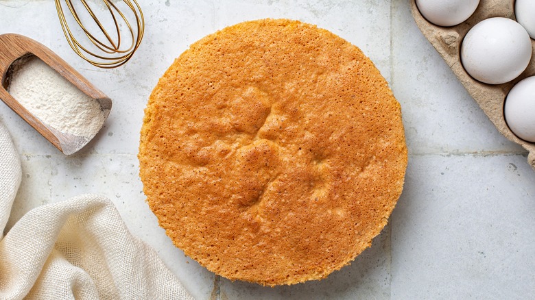 Aerial view of plain flat sponge cake