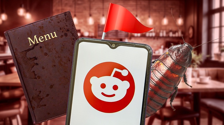 restaurant background with dirty menu and bugs, and phone with reddit logo