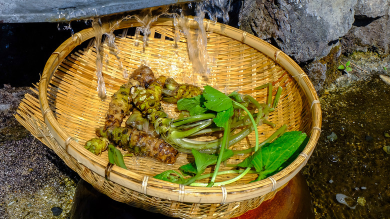 wasabi in a traditional woven basket