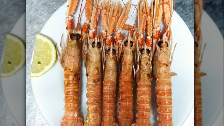 Norway lobster with lime