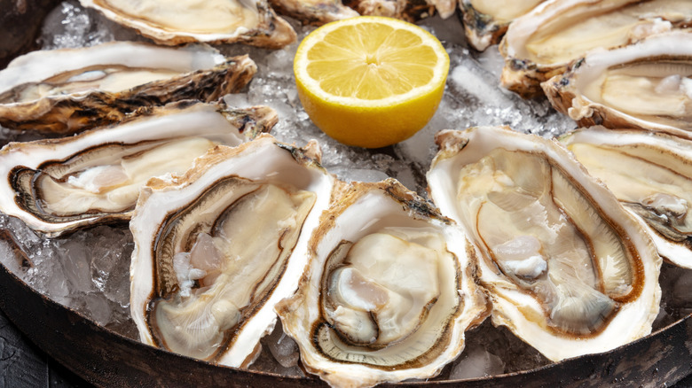 Oysters with lemon