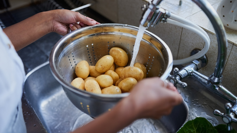 Person washing potatoes