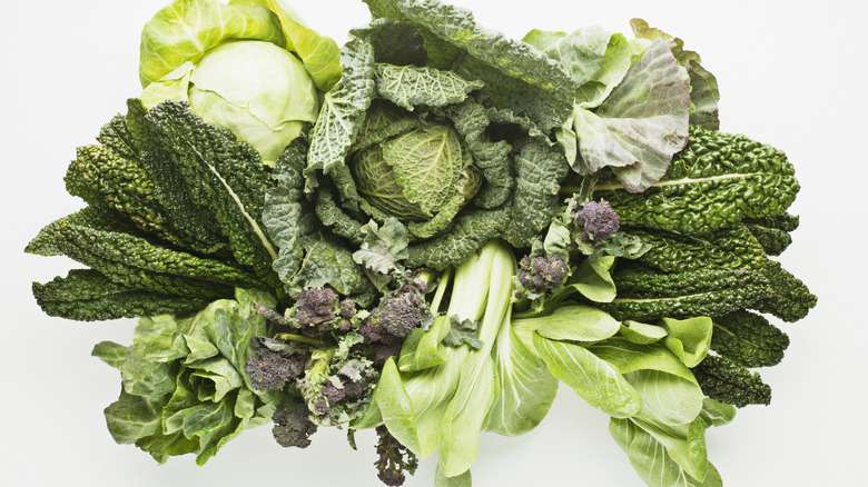 Leafy greens on a white background