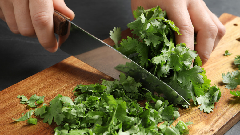 Cilantro being chopped on cutting board 