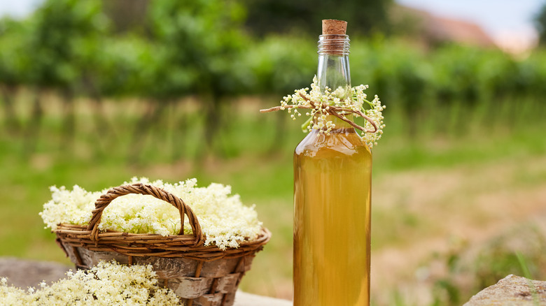 elderflower syrup in a bottle