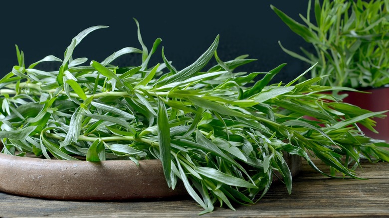 Fresh tarragon