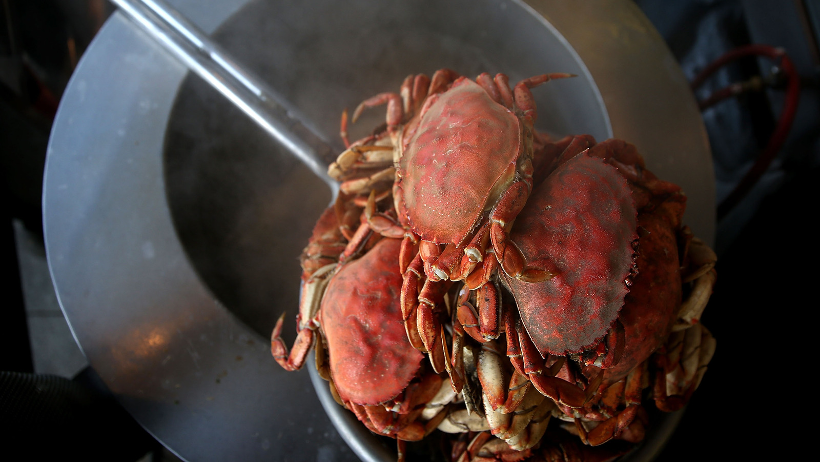 Add Your Favorite Beer To The Next Crab Boil For Extra Flavor   L Intro 1698250515 