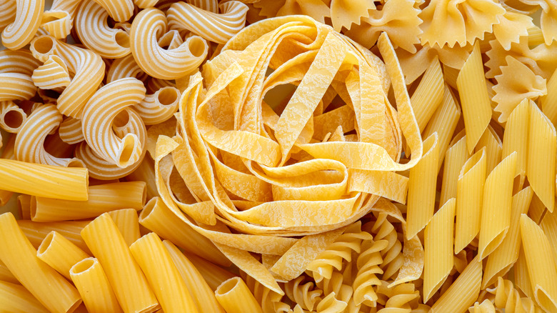 Different kinds of pasta