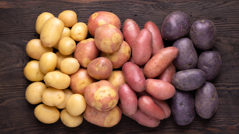 Different types of potatoes