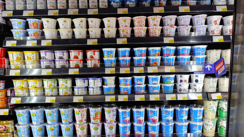 Yogurts in dairy section of supermarket