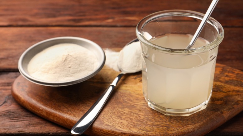 A dish and spoonful of agar powder next to a cup of agar jelly