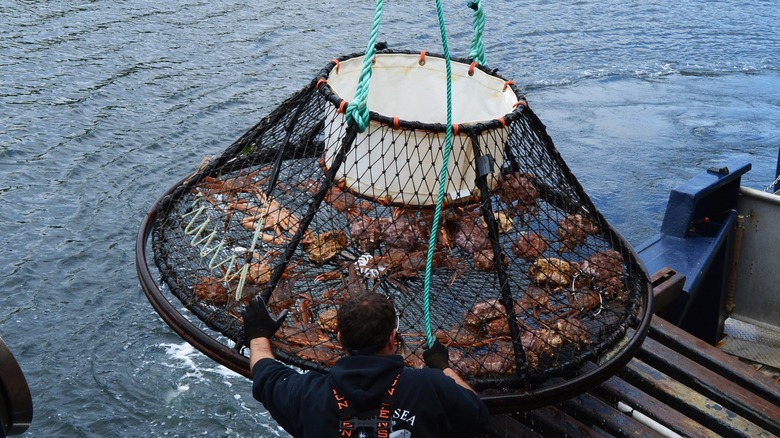 Alaskan crabbers