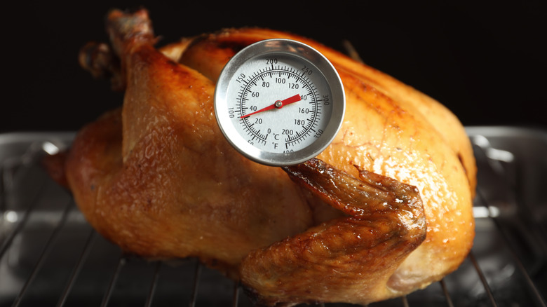 Roasting turkey with meat thermometer