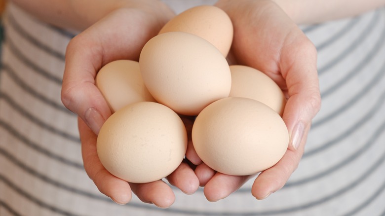 hands holding light brown eggs