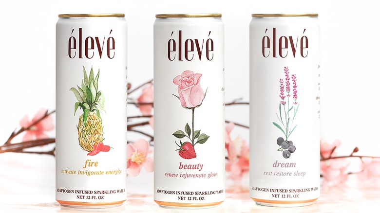 eleve sparkling water