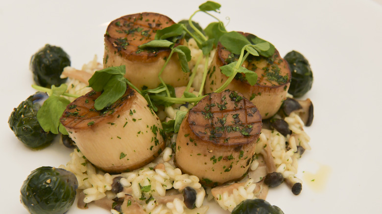 king oyster mushroom scallops