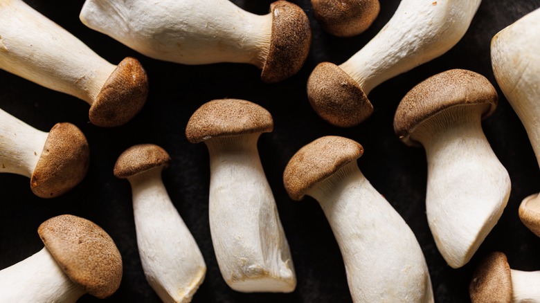 king oyster mushrooms on black background