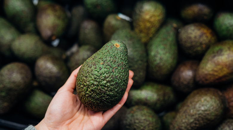 a hand holding an avocado