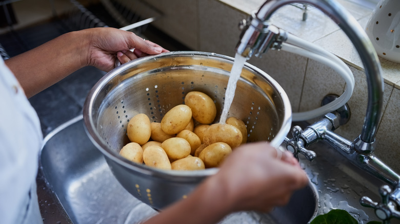 Hands washing potatoes in sink