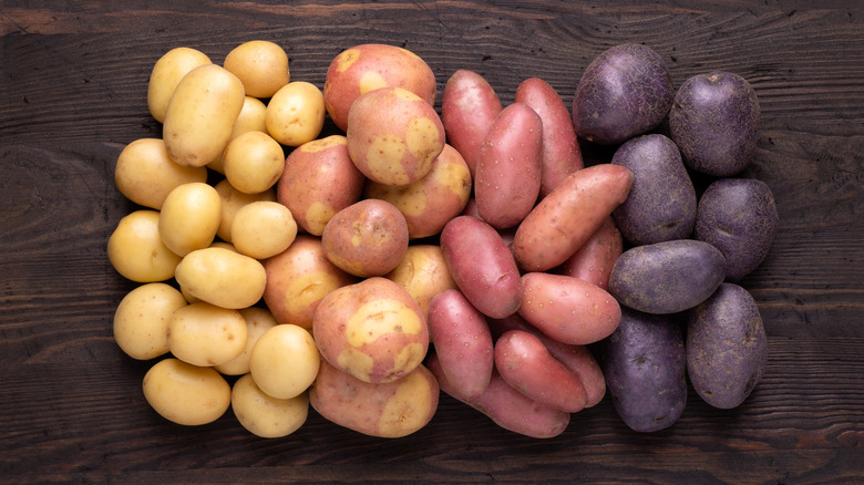 Four varieties of potatoes on table