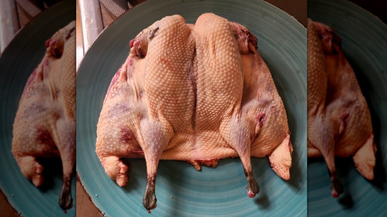 A raw duck sliced in half