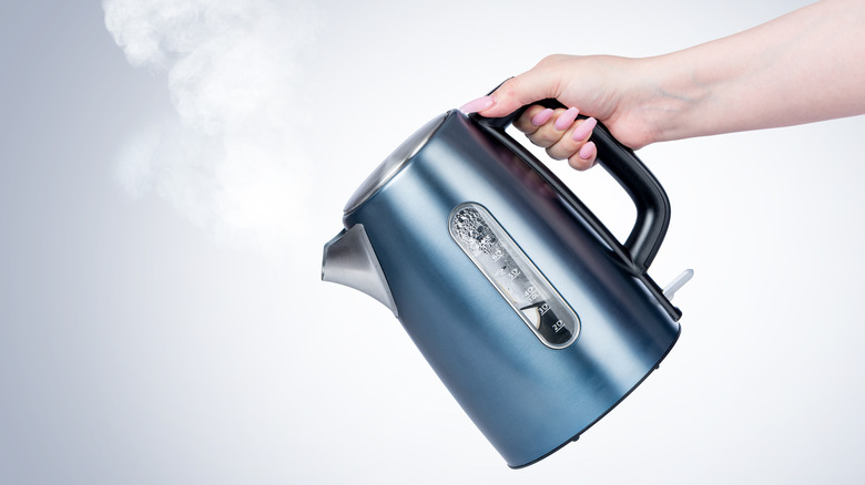 Hand holding a blue eletric kettle that's steaming