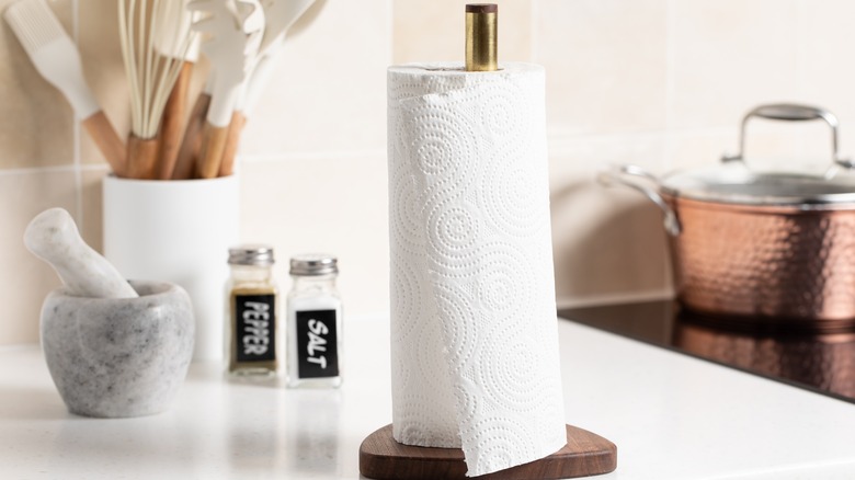 Roll of paper towel on counter next to other kitchen items