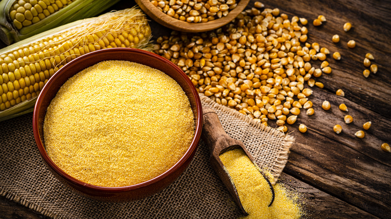 yellow corn grits next to dried corn