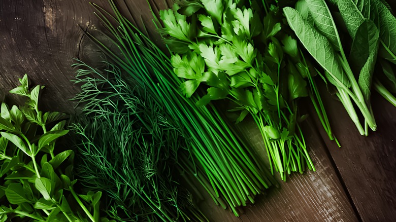 Assorted bundles of fresh herbs