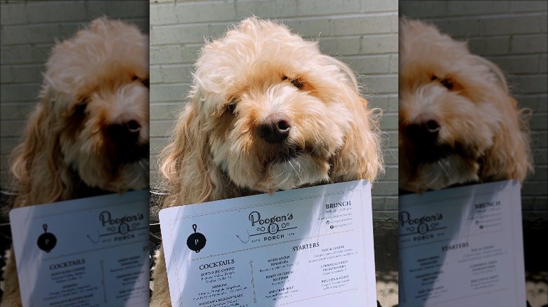 Dog with Poogan's Porch menu