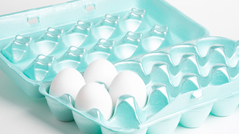 blue styrofoam egg carton