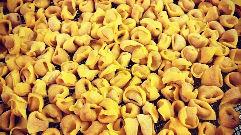 lots of fresh tortellini