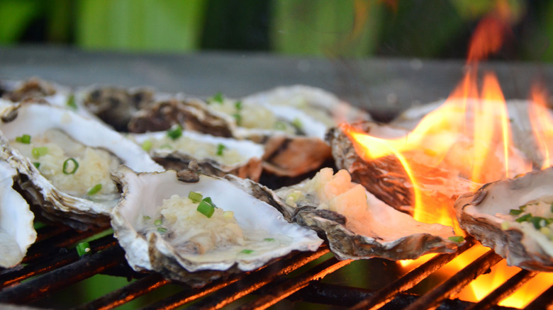 oysters cooking on a grill