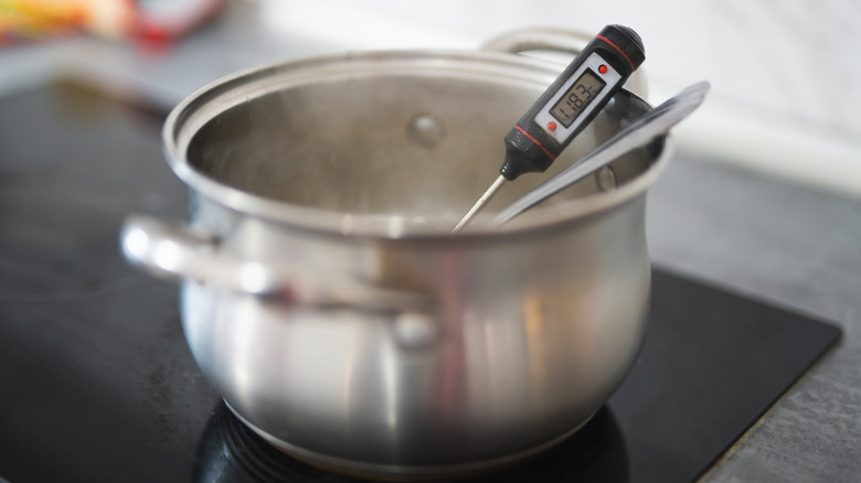 food thermometer resting in a pot