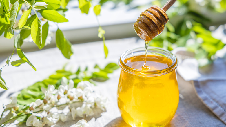 Honey surrounded by plants