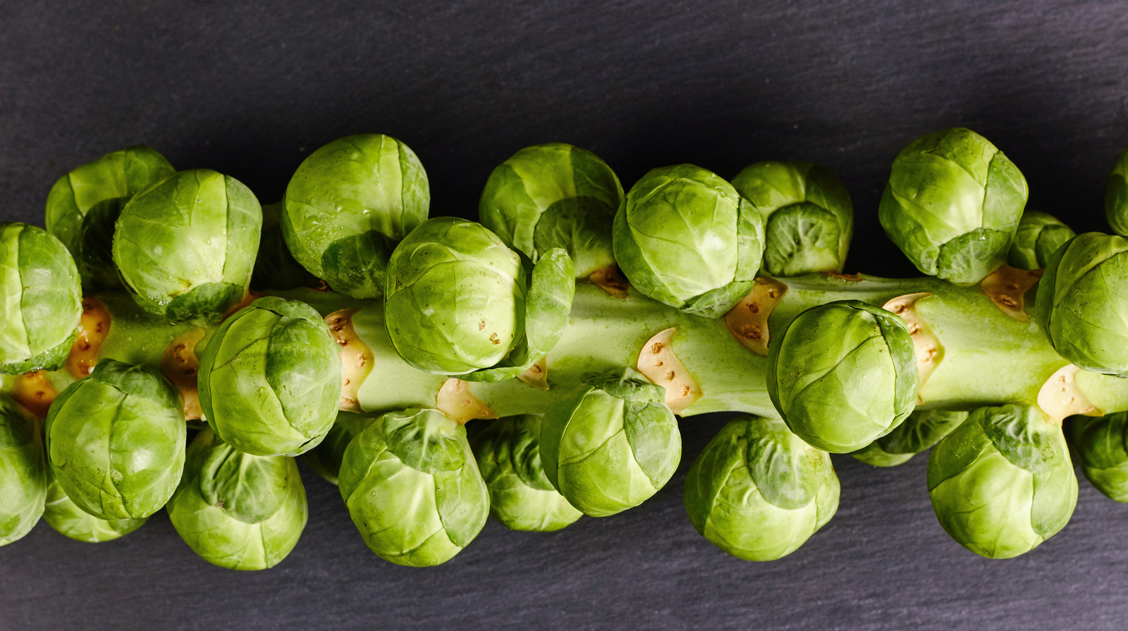 pruning-our-brussel-sprouts-my-home-farm